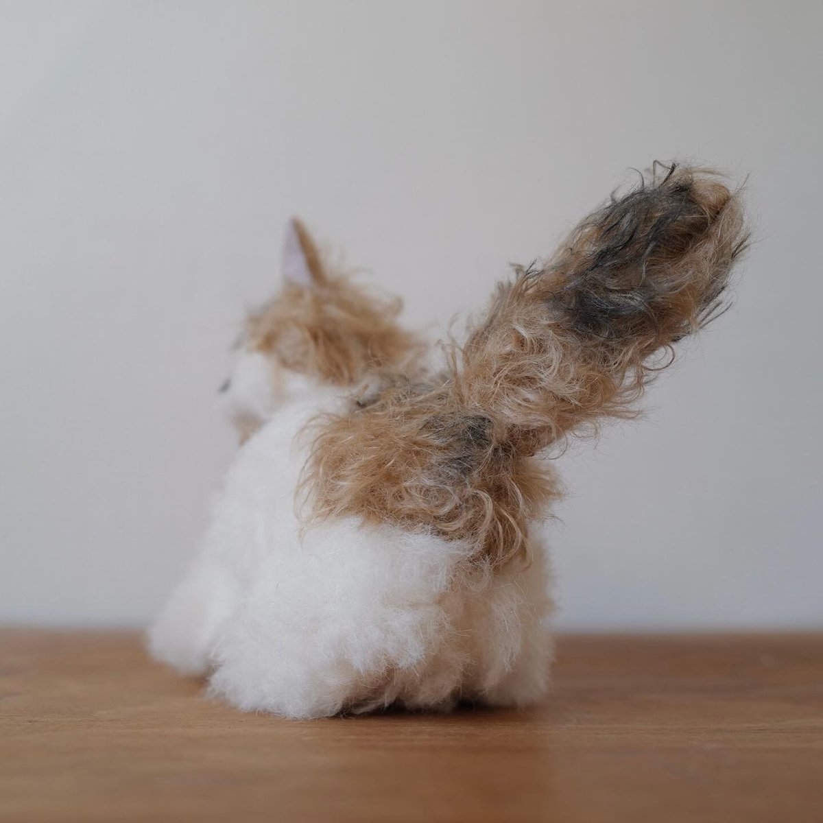 三毛猫ハチワレちゃん | さて 三毛猫ハチワレちゃん | さて