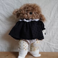 プードゥルちゃん