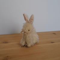 ミニうさぎ