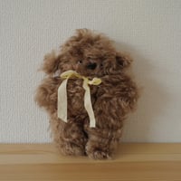 リボンプードルちゃん