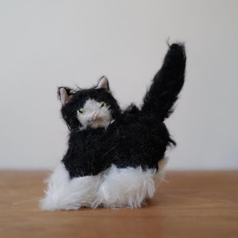 ハチワレ白黒猫ちゃん | さて