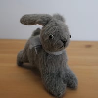 ぴょんぴょんミニうさぎ