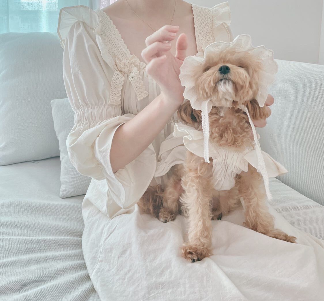 予約商品】🤍pure dress🤍 (mama) | comely