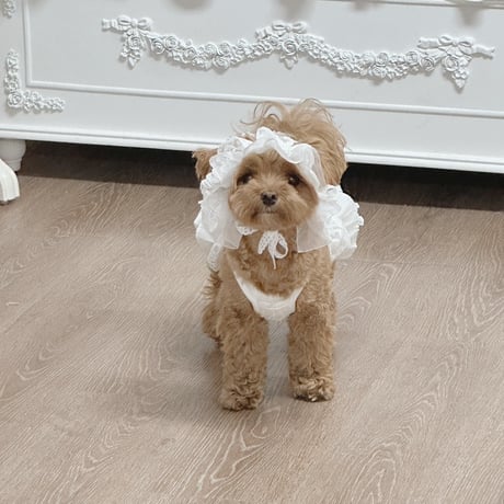 【予約商品】Garden bonnet