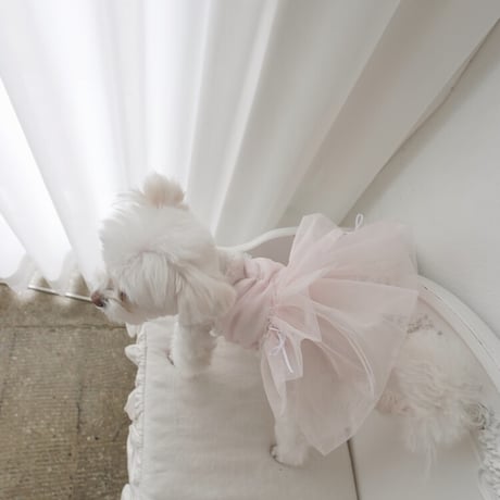 【予約商品】balloon tutu dress