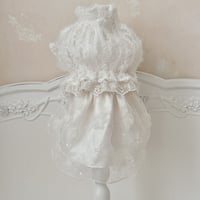 【予約商品】glitter blouse