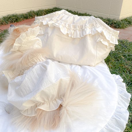 【予約商品】🤍pure dress🤍