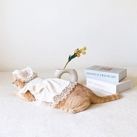 【予約商品】frill lace home wear dress