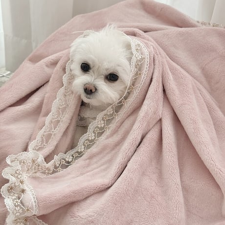 【予約商品】Velvet Dreams Blanket