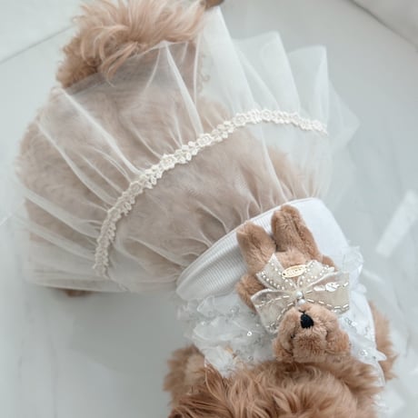 【予約商品】big teddy bear ＆ big bunny