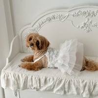 【予約商品】 Rose tutu