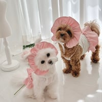 【予約商品】Frill cool swim wear