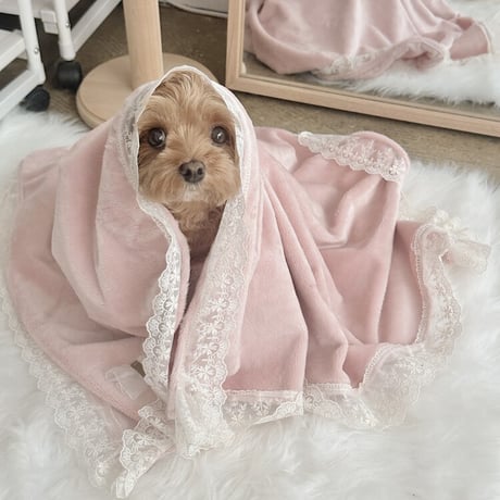 【予約商品】Velvet Dreams Blanket