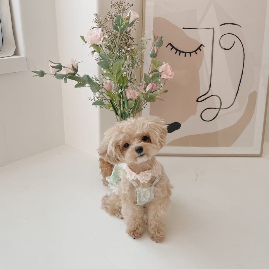 62a5efd91c6fdf3f1cf61bc2