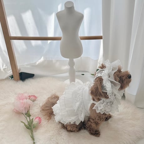 【予約商品】Garden bonnet