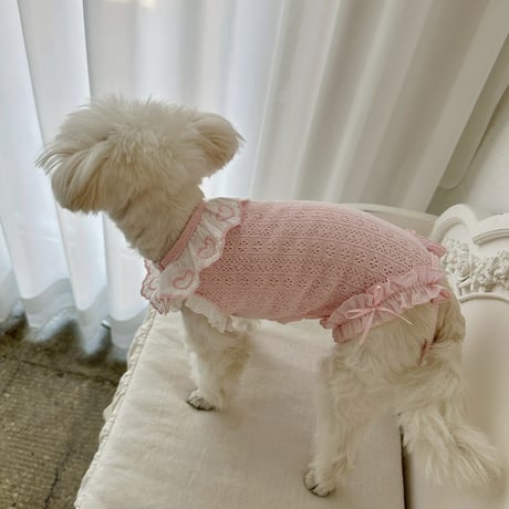【予約商品】Heart knit shorts