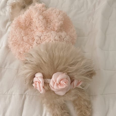 【予約商品】Rose dress