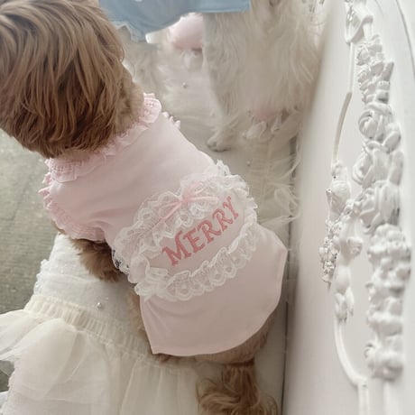 【予約商品】Baby name T-shirt