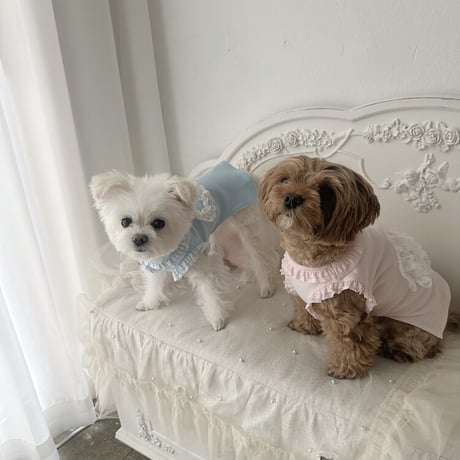 【予約商品】Baby name T-shirt