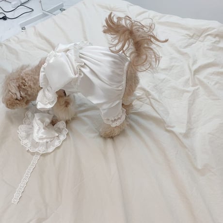 【予約商品】lovely ribbon all-in-one
