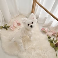 【予約商品】organic lace all-in-one