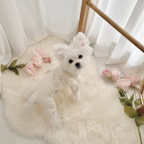 【予約商品】organic lace all-in-one