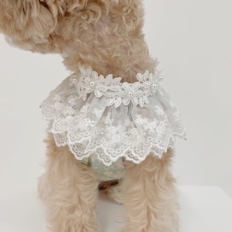 【予約商品】Garden cape