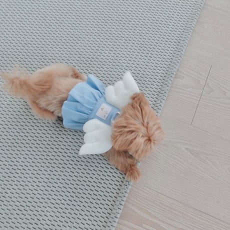 【予約商品】Angel Harness ( Ruffle )※pink売り切れ