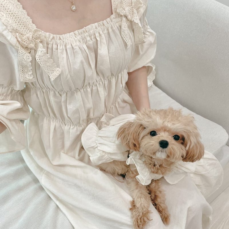 予約商品】🤍pure dress🤍 (mama) | comely