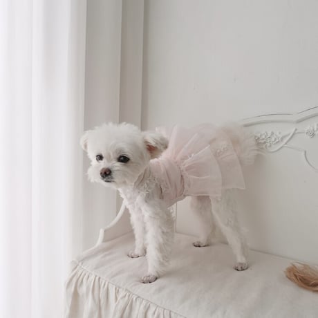 【予約商品】balloon tutu dress