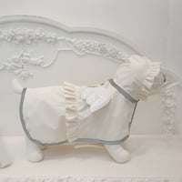 【予約商品】Angel rain coat set ( basic )※deeppurple売り切れ