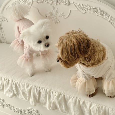 【美品】韓国犬服 Comely　AngelHarnes ＆ Lead　羽根つき 美品】韓国犬服 Comely AngelHarnes ＆ Lead 羽根つき 軽かっ