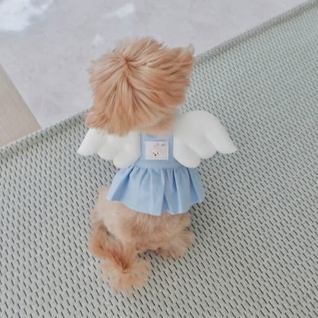 【予約商品】Angel Harness ( Ruffle )※pink売り切れ