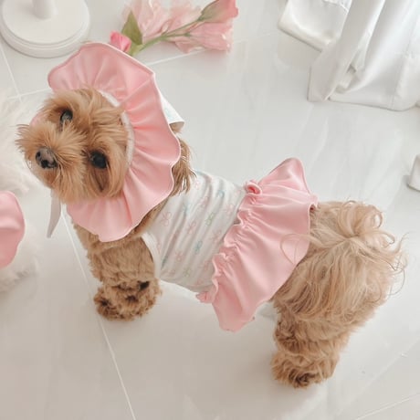 【予約商品】Frill cool swim wear