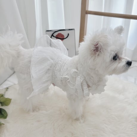 【予約商品】white swan crop dress