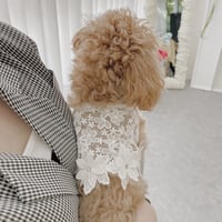 【予約商品】🤍flower crop top🤍