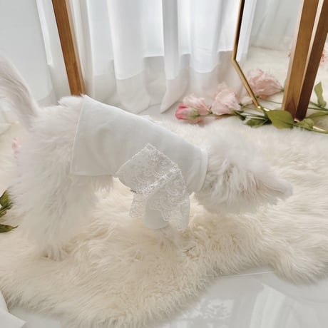【予約商品】organic lace T-shirt