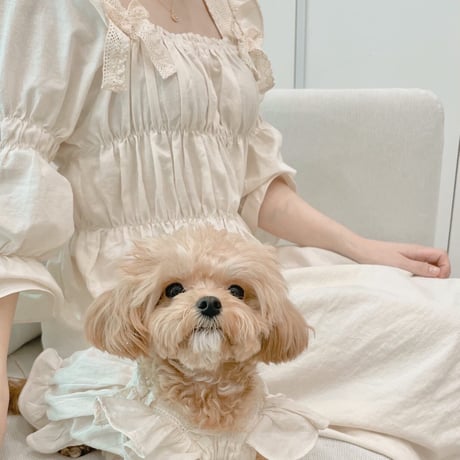 【予約商品】🤍pure dress🤍
