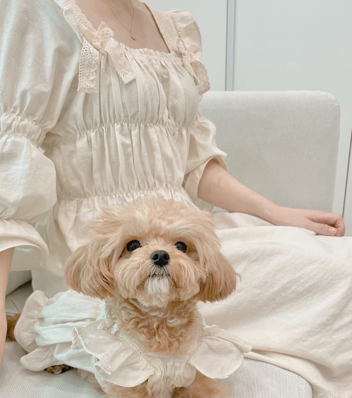 予約商品】🤍pure dress🤍 (mama) | comely