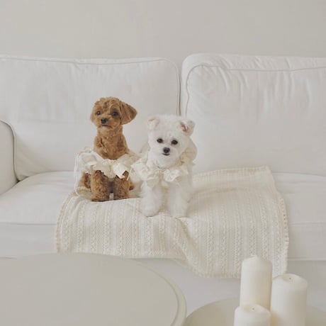 【予約商品】Ogarnic lace blanket