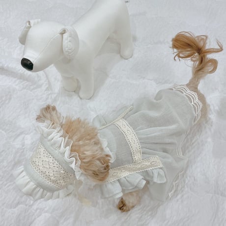 【予約商品】frill lace home wear dress