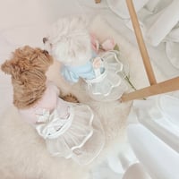 【予約商品】Suspenders tutu skirt+brooch
