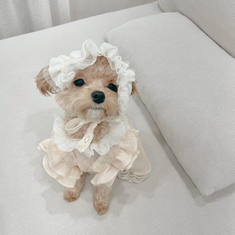 【予約商品】frill lace home wear dress