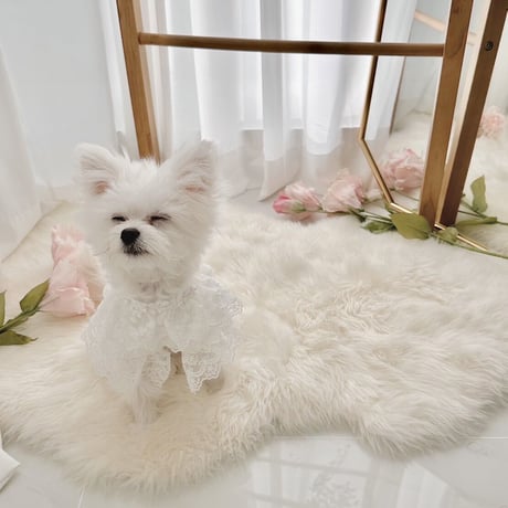 【予約商品】organic lace all-in-one