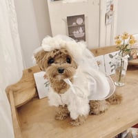 【予約商品】Birthday dress season2