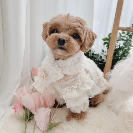 【予約商品】Rose fur muffler