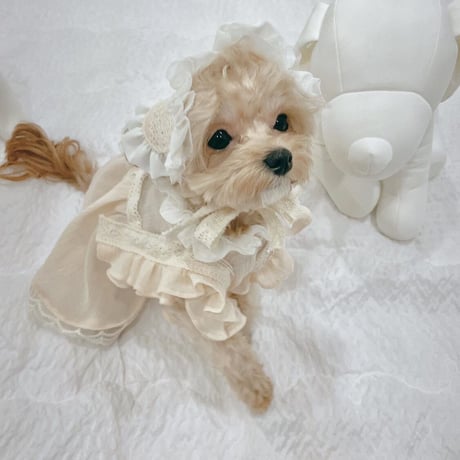 【予約商品】frill lace home wear dress