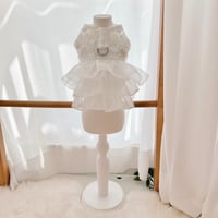 【予約商品】Twinkle flower harness