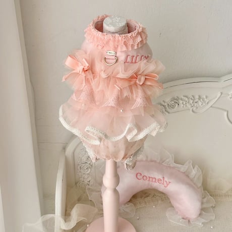 【予約商品】 Present harness