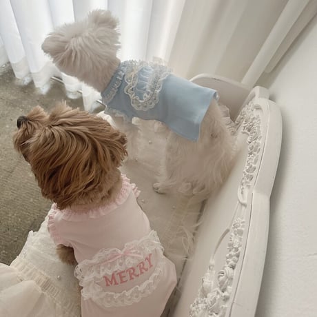 【予約商品】Baby name T-shirt